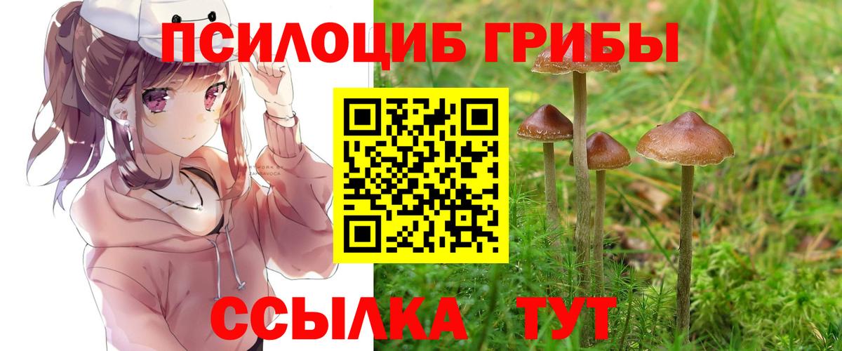 Артём  Псилоцибиновые грибы мухоморы  Вход с VPN 